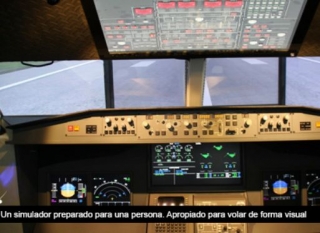  Visual flight simulator